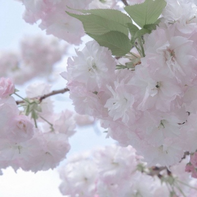 息县福瑞交流群